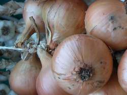 Onions